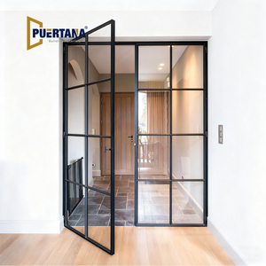 Modern Indoor Metal Framed French Doors