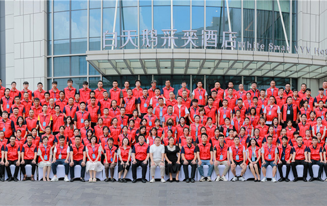Vexis Custom Design and Project Delivery Team