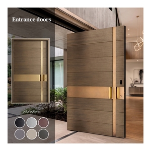 Modern Aluminum Pivot Front Door Dark Grey Exterior Entrance Door with Frosted Glass Lite Soundproof for Hotel