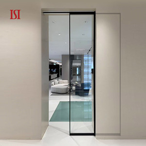 Minimalist Interior Glass Pocket Sliding Door