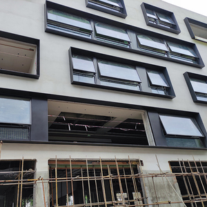 Customized design modern aluminum veneer windows fire-resistant