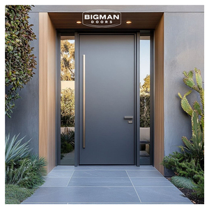 British Modern Security Pivot Door Heavy Metal Entry Door