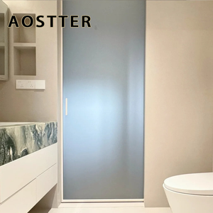 Modern Minimalist ISO Indoor Aluminum Glass Pocket Hidden Sliding Door